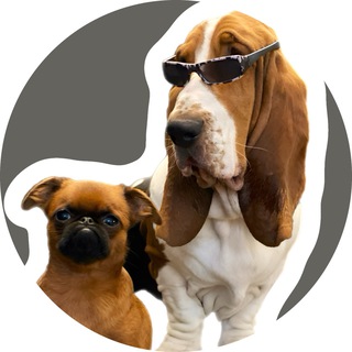 Логотип @chudiki_dogs - Chudiki_dogs