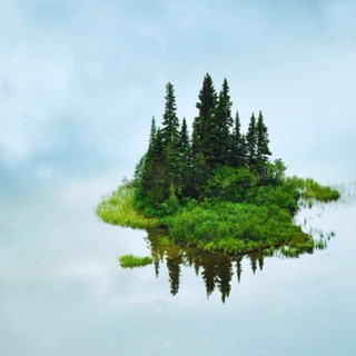 Логотип @chudnoe - Удивительный мир 🦜