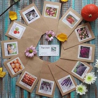 Логотип @chudogryadkaru - чудогрядка.рф | сад. огород. цветы