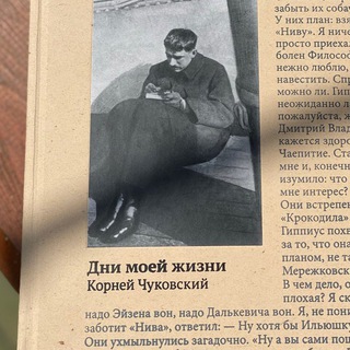 Логотип @chukdaily - Чуковский