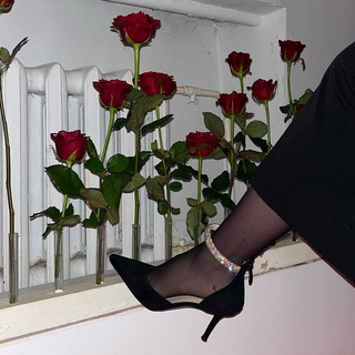 Логотип @chukkek - Юля в Дзене