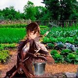 Логотип @chung_lees_garden - ♥️╟╟Огород Чжун Ли╢╢☺️│ВЕСТИ ГЕНШИНА│