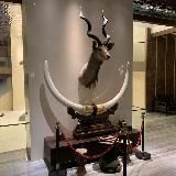 Логотип @chunyu110 - chunyu110