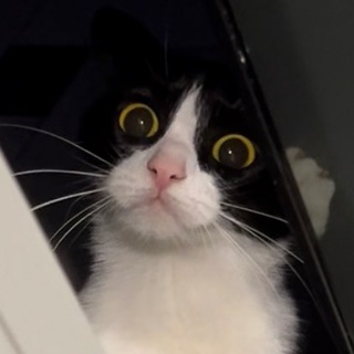 Логотип @chupaaaaaaaaaaaaaaaaaaa - Чупа🥰😼