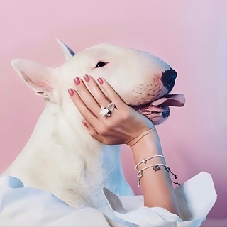 Логотип @chuvstvuui - Ой, какие мы нежные