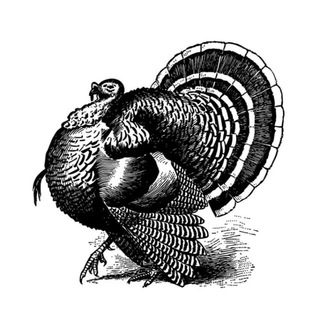 Логотип @chvans - Чванство