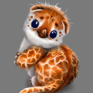 Логотип @chydopriroda - Чудная природа🐾