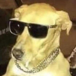 Логотип @chzhept - ЧЗХ