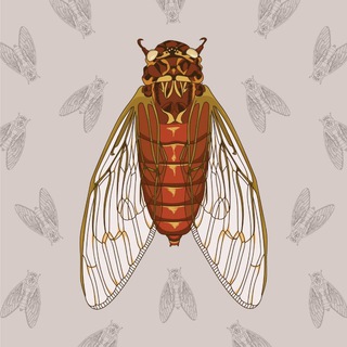 Логотип @cicada703 - Цикада 703