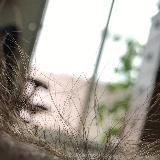 Логотип @cicichki - трейдинг зло