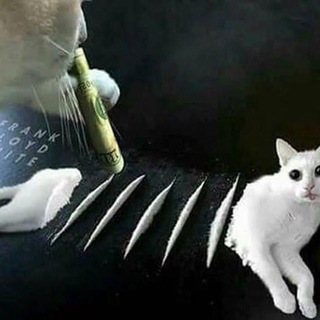 Логотип @cigjkl - опа