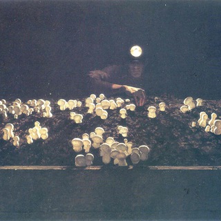 Логотип @cinematfak - Киноклуб Матфака