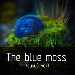 Логотип @cinii_mox - Синий мох ( the blue moss )