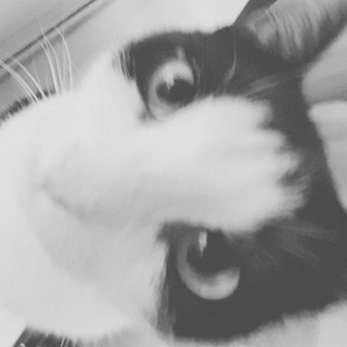 Логотип @cinnapupp - ⊹ . переезд 🥛 : .