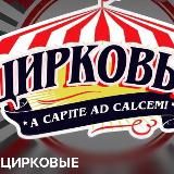 Логотип @cirkovye - ЦИРКОВЫЕ
