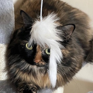 Логотип @cirrhosa - ванделия без ебучих описаний и эмодзи