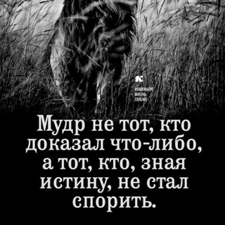 Логотип @citata_vsem - Мудрые мысли