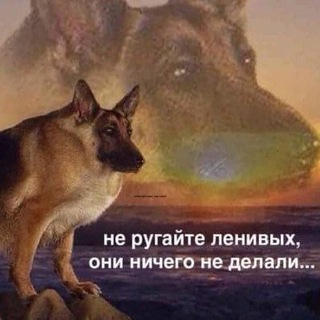 Логотип @citatapsk - Цитатник ПсковГУ