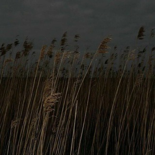 Логотип @citati_grust - Соври мне