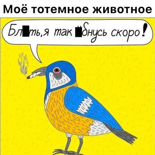 Логотип @citatiq - Эрудит