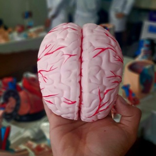 Логотип @citizen_anatomys - Anatomy