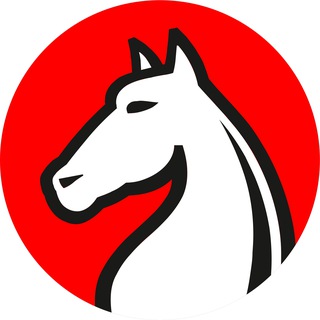 Логотип @citychess_uz - City Chess