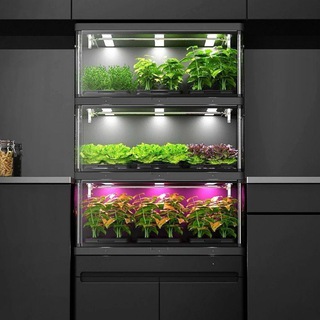 Логотип @cityfarmers - Cityfarmers - The Secret Room