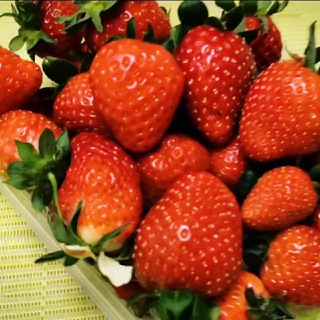 Логотип @cityfermer3000 - 🍓СИТИФЕРМЕРЫ_3000