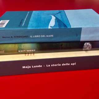 Логотип @ciwati - Ciwati