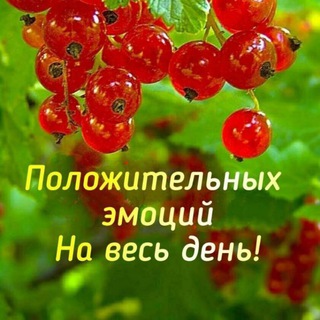 Логотип @ckladnovostei - Склад НОВОСТЕЙ