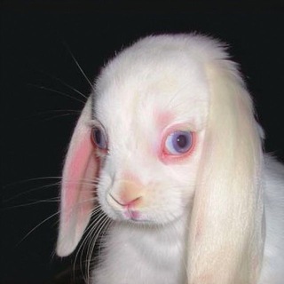 Логотип @ckopo_mapt - март умерла на сво🚩