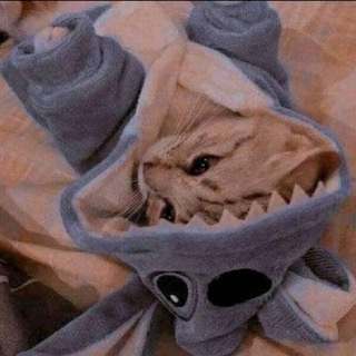 Логотип @ckrfj - ~💗Kris.biser💗~