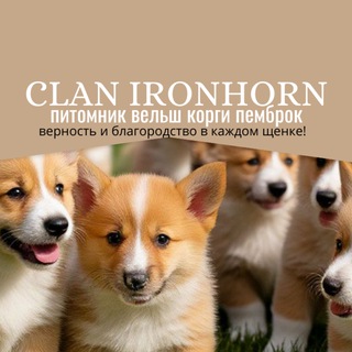 Логотип @clan_ironhorn - Питомник 🐶CLAN IRONHORN🐶 corgi🐶корги🐶