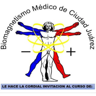 Логотип @clasesgratisdebiomagnetismo - CLASES GRATIS DE BIOMAGNETISMO