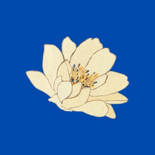 Логотип @class11rb - 11 КЛАСС