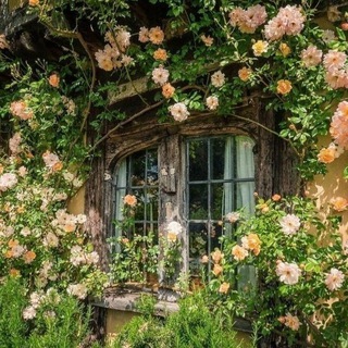 Логотип @claudia_wallet - Портмоне Клавдии