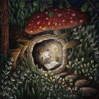 Логотип @clavdii_ezhik - Клавдий Ёжик