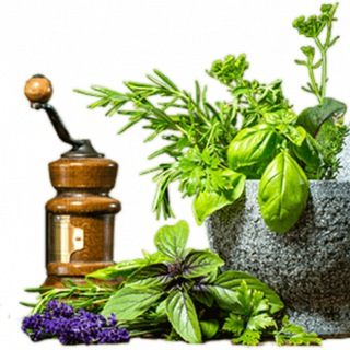 Логотип @cleanbodyessentials - Clean Body Essentials