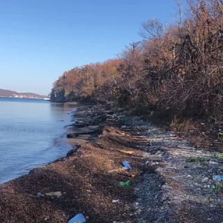 Логотип @cleanvladivostok - Чистый Владивосток