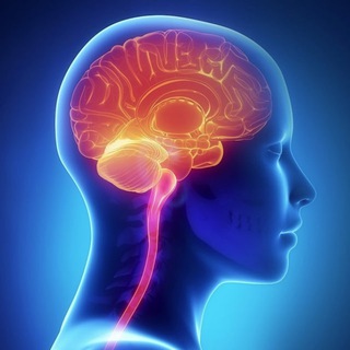 Логотип @clear_mind_life - Ясный ум и вечная молодость