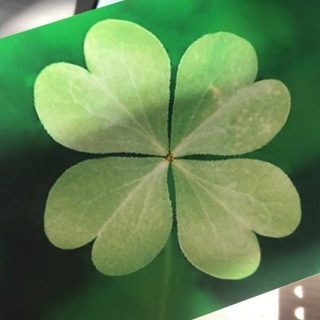 Логотип @clever_doc - Щоденник лікаря