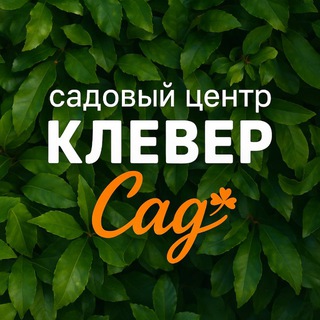 Логотип @cleversad45 - КлеверСад