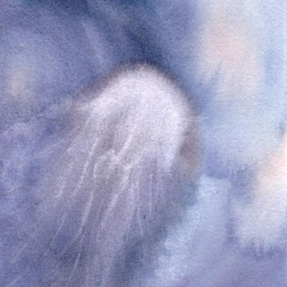 Логотип @cloudshiba - Cloud