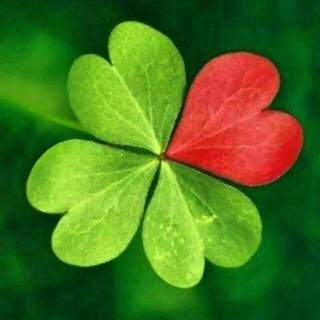 Логотип @clover_handmade - 💗CLOVER - handmade🍀творческая мастерская