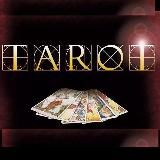 Логотип @club_evolutiont - Клуб-ЭВОЛЮЦиЯ🧚‍♀