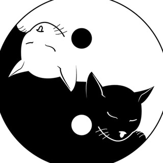 Логотип @clubdelgattocentrolistico - Club del Gatto C.A.T. canale