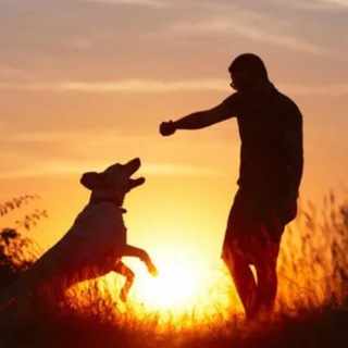 Логотип @clxmdxblfngzowni - Пенаты Дружок Липецк