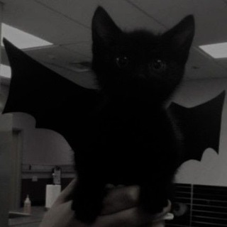 Логотип @cmaxlop - здесь уютно?