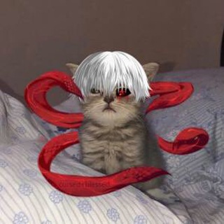 Логотип @cmenter777 - Menter777 Чатик