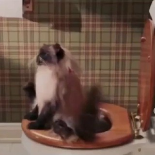 Логотип @cmex_laughter - Video LOL